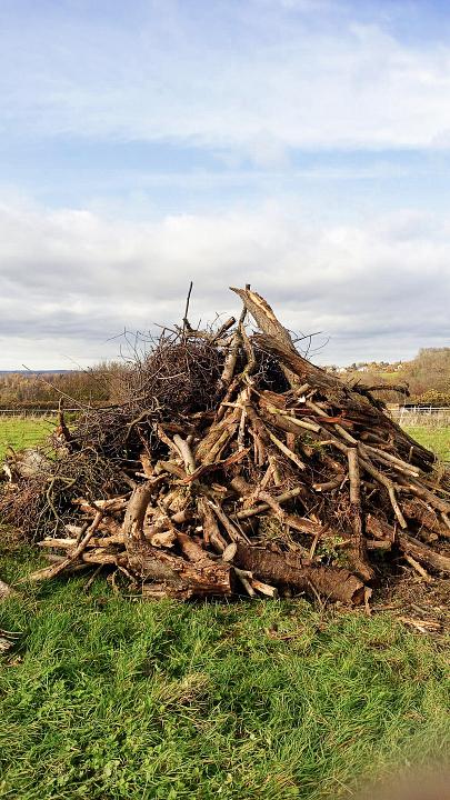 Bild: 20251129-171436.jpg